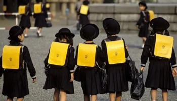 日本脑力开发研究：4个锻炼孩子大脑潜能方法